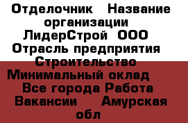 Отделочник › Название организации ­ ЛидерСтрой, ООО › Отрасль предприятия ­ Строительство › Минимальный оклад ­ 1 - Все города Работа » Вакансии   . Амурская обл.